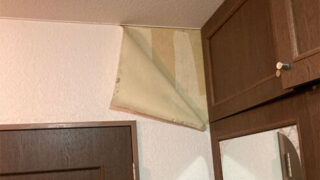 Thumbnail of post image 080