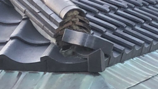 Thumbnail of post image 144