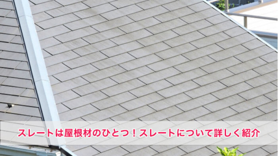 Thumbnail of post image 049