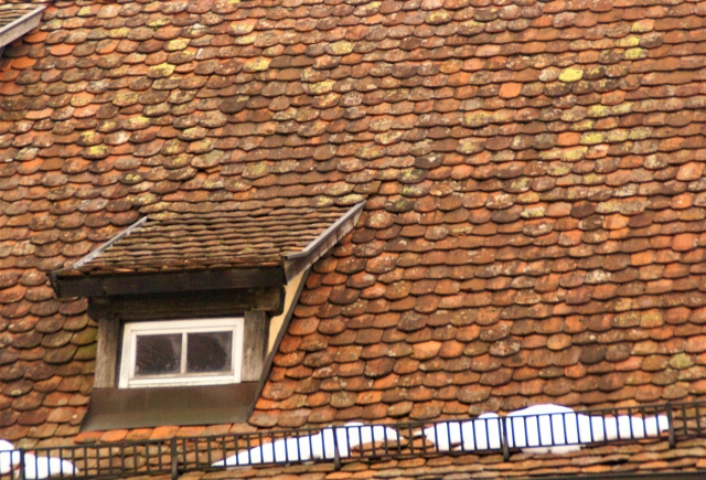うろこ形状の屋根の写真