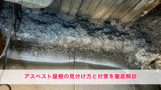 Thumbnail of post image 028