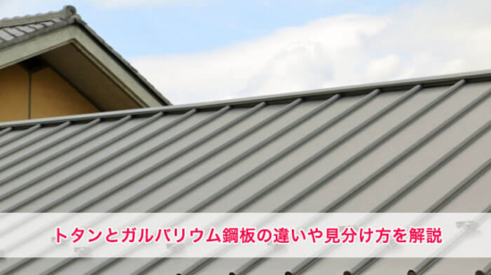 Thumbnail of post image 085