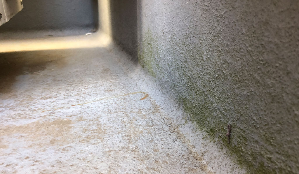 ベランダ防水工事ビフォー