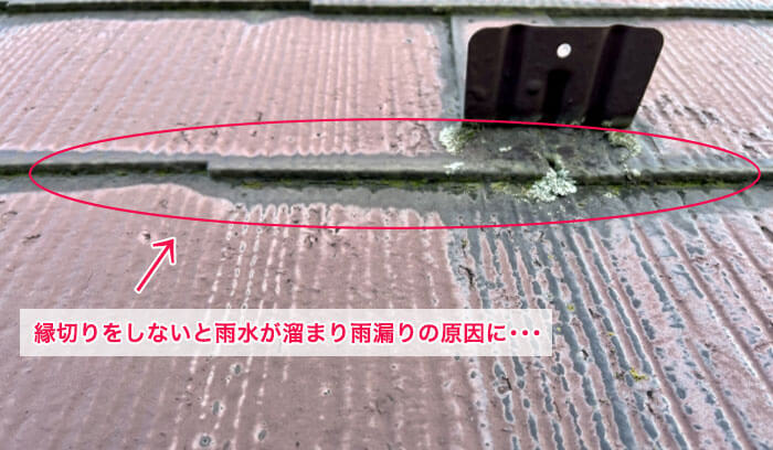 縁切りをしないと・・・