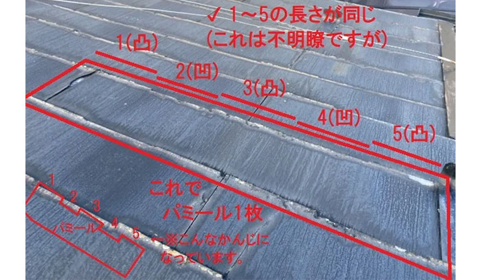 パミールの見分け方