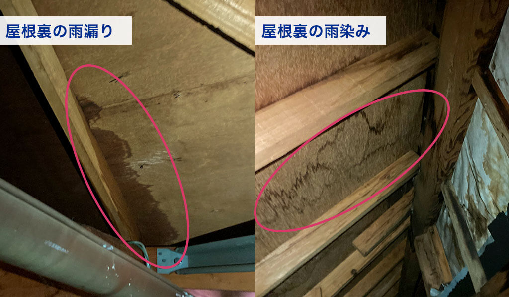 雨漏り
