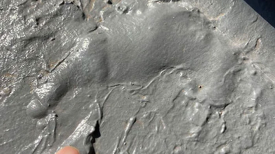 Thumbnail of post image 157