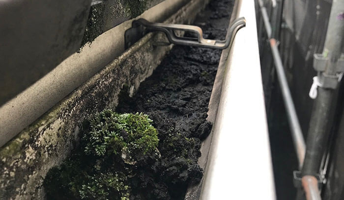 ベランダ雨どいが詰まる原因