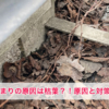 雨どい詰まりの原因は枯葉!?理由と対策をご紹介します!