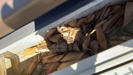 Thumbnail of post image 087