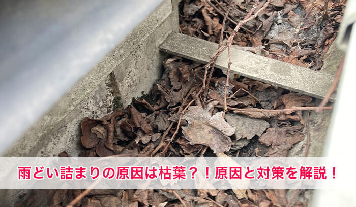 雨どいの詰まりの原因は枯葉？！理由と対策とご紹介します！