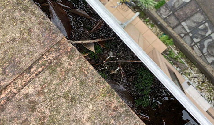雨どいに詰まりが起きる理由