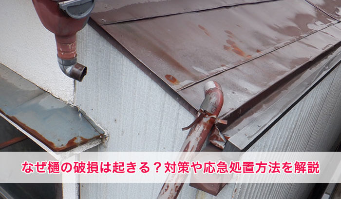 樋の破損はなぜ起きる？！今後、破損させないためにできることや応急処置の方法を紹介