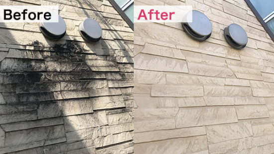 Thumbnail of post image 122