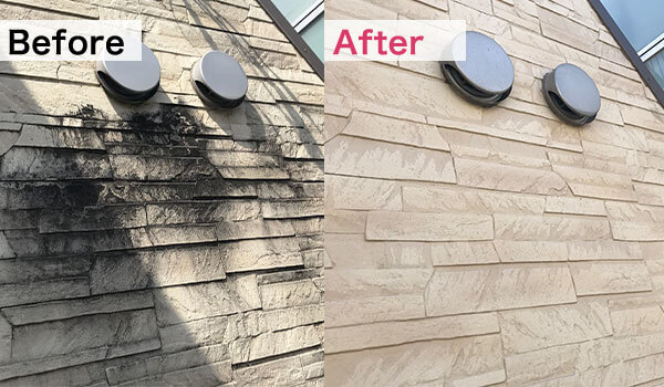 Thumbnail of new posts 118