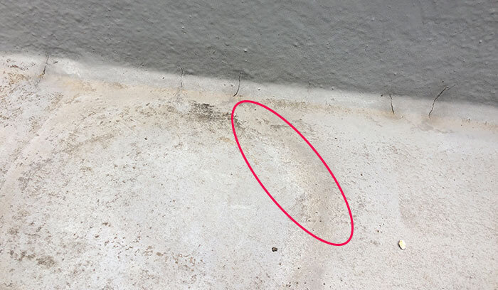 中度の場合(防水層が浮いている・膨れている)