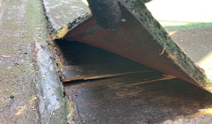 重度の場合(下地が腐食している)
