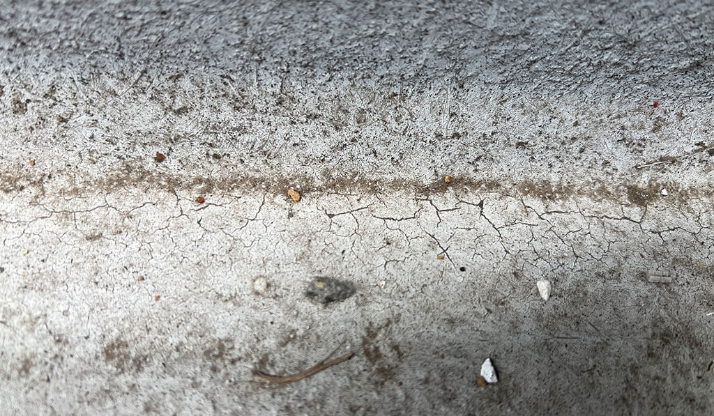 近くで見ると･･･