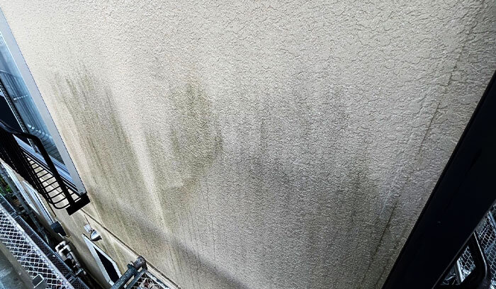 外壁の腐食･シミ･カビの発生