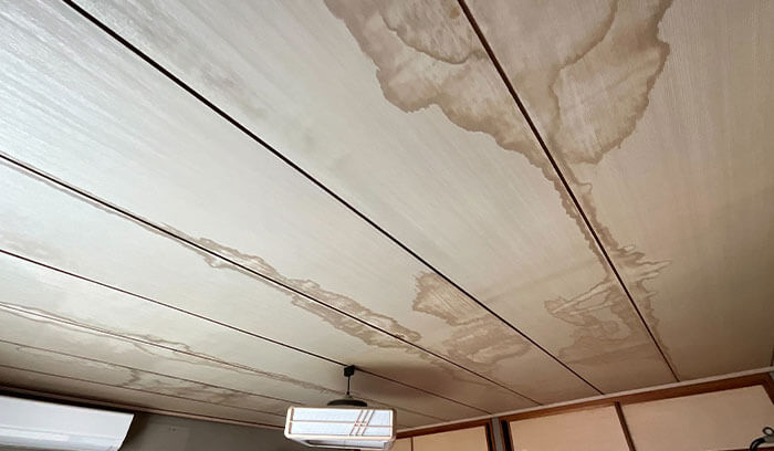 室内への浸水や天井のシミ