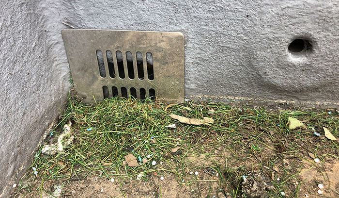 排水口(ドレン)の詰まり