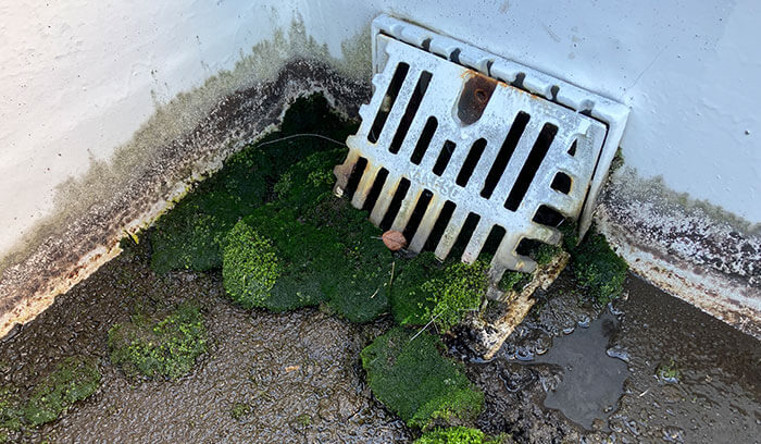 排水口（ドレン）の詰まり