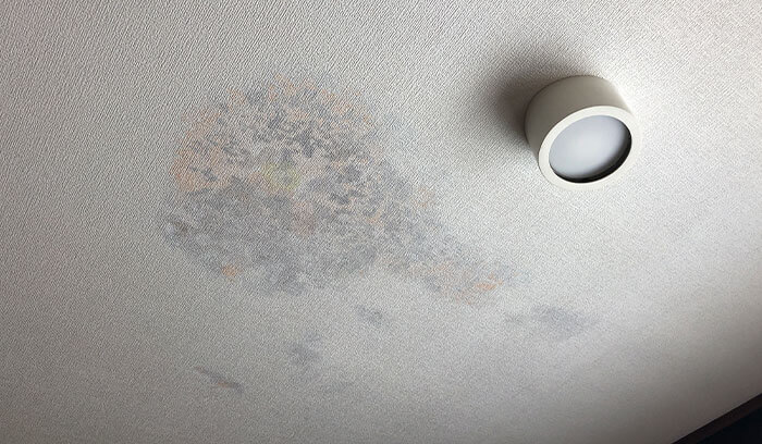 カビや湿気の増加