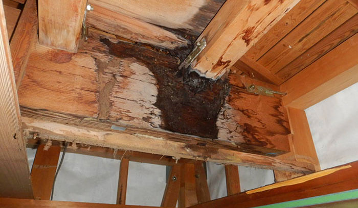 雨漏りを放置するとどうなる？