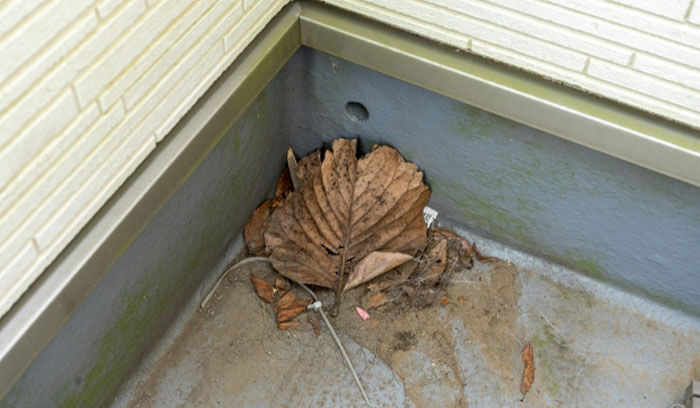 排水口（ドレン）の詰まり