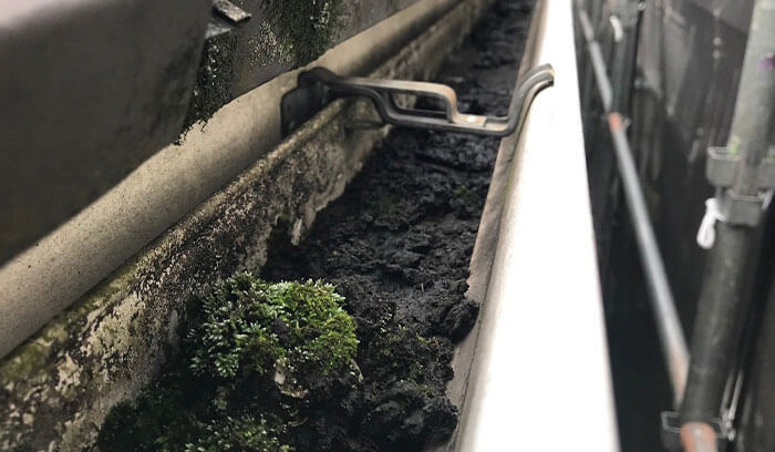 排水ルートの詰まり（雨どい）