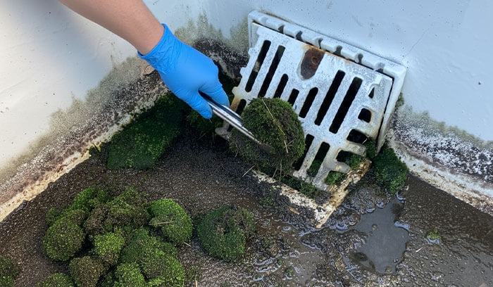 自分でできる応急処置とチェック方法