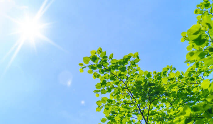 なぜ剥がれる？経年劣化だけじゃない主な原因