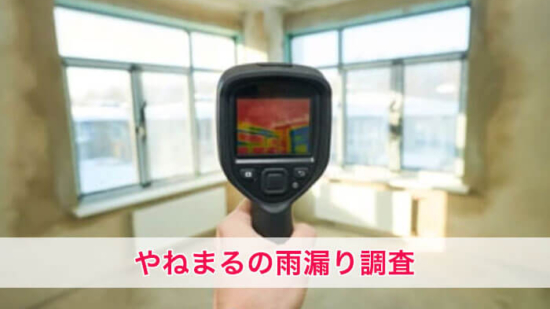 Thumbnail of post image 025