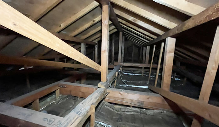 屋根裏調査