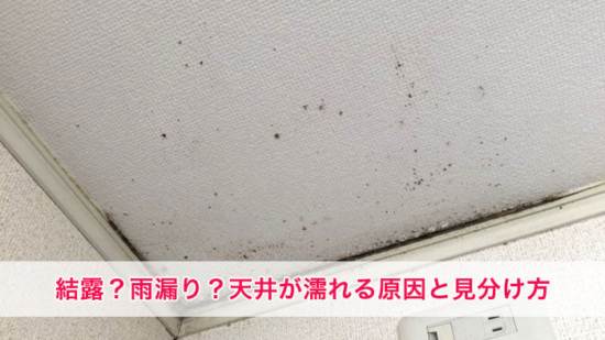 Thumbnail of post image 009