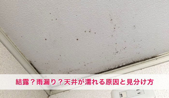 結露?雨漏り?天井が濡れる原因と見分け方|サッシ・シーリング劣化にも注意