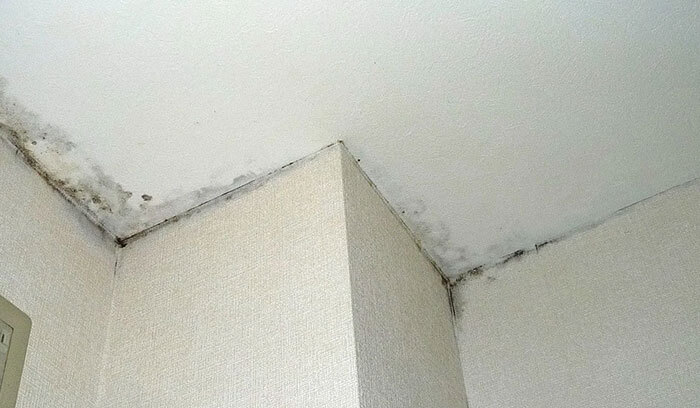 結露が原因で天井に出やすい症状