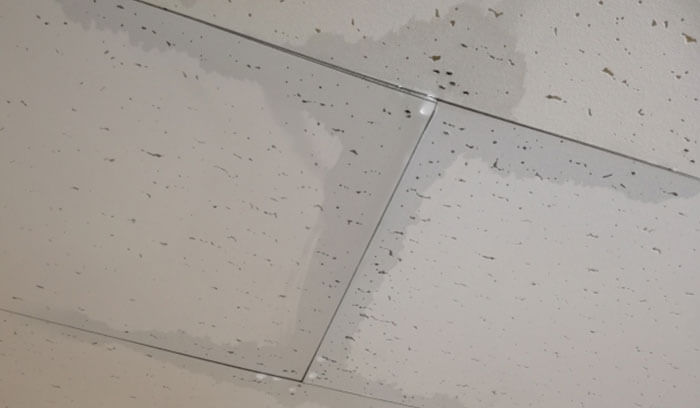 雨漏りが原因で天井に出やすい症状