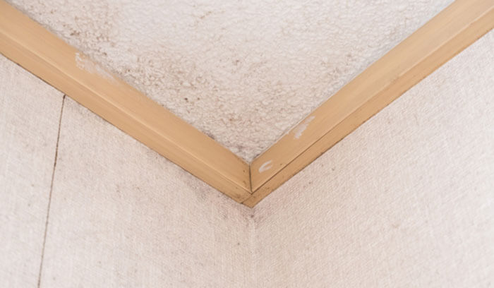 カビや内部腐食の発生