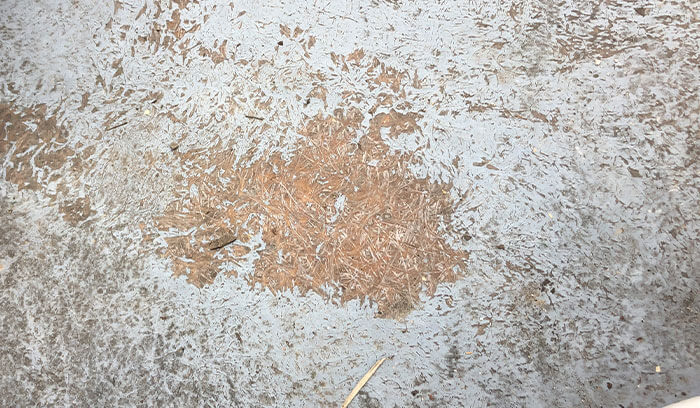 ガラス繊維が見える