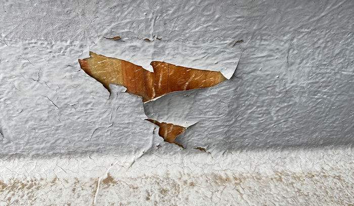 防水層の浮き・剥がれ