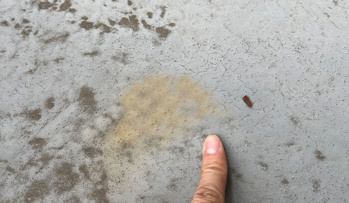 1｜色あせ・光沢が消えてきた