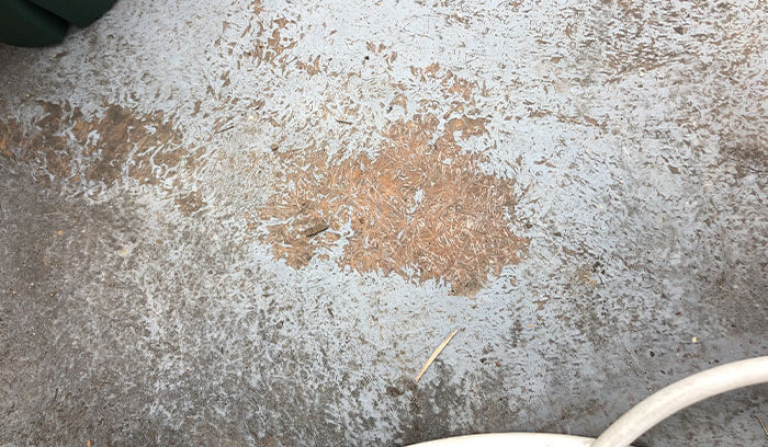 5｜FRPの繊維（ガラスマット）が見えている