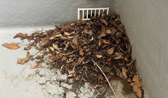 7｜ドレン（排水溝）まわりのトラブル