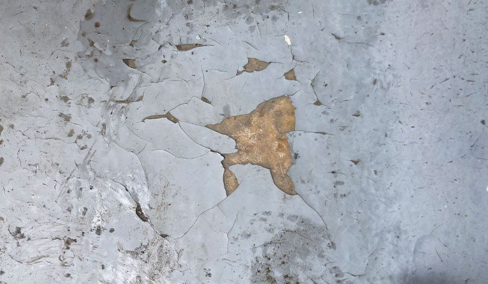 レベル2｜中度（防水層の劣化・ひび割れ・剥がれ）