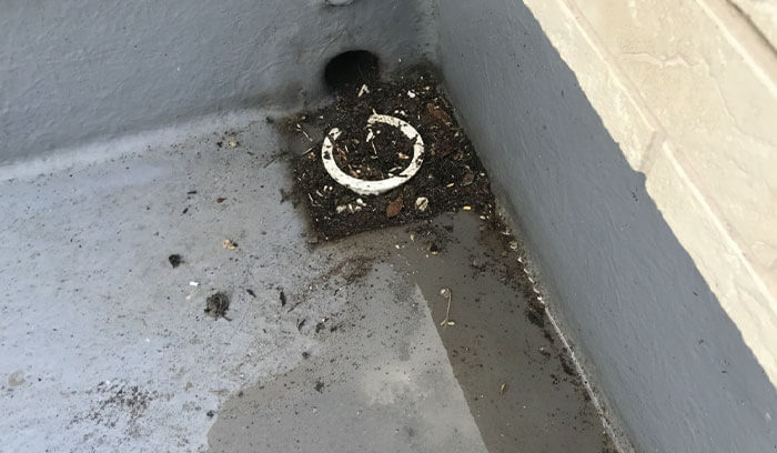 2｜排水溝のゴミを放置して水たまりを作る