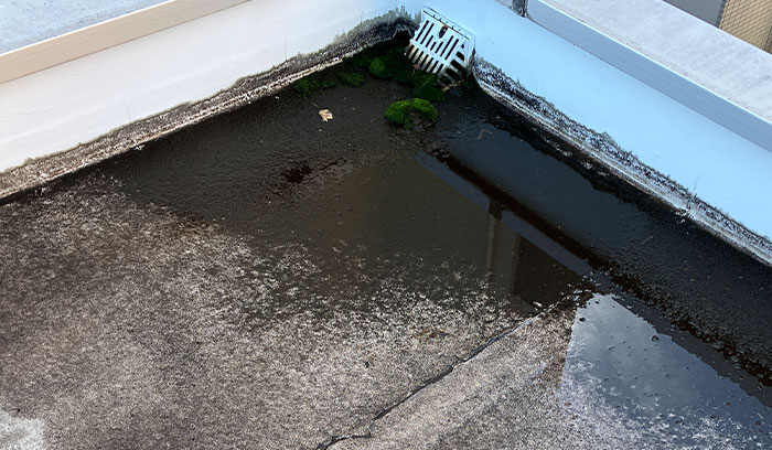 排水溝の詰まりによる一時的な滞水