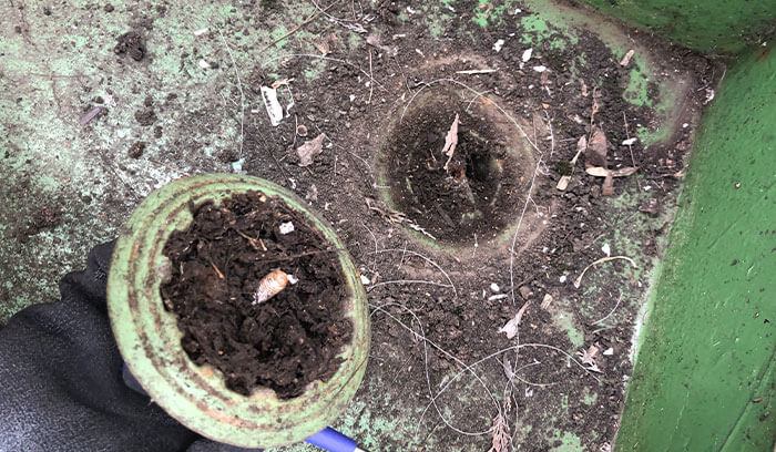 ドレン(排水溝)の詰まり