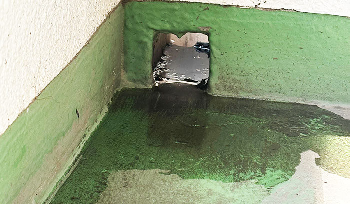 「原因はベランダだけじゃない?」意外と多い雨どいの詰まり