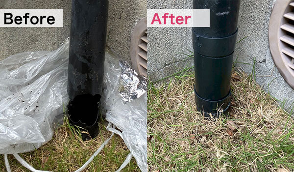 Thumbnail of new posts 044